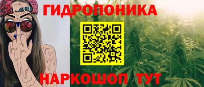 PSILOCYBIN Гусев