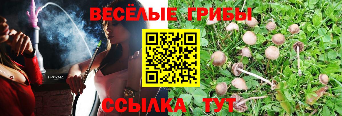 Псилоцибиновые грибы Cubensis Донецк