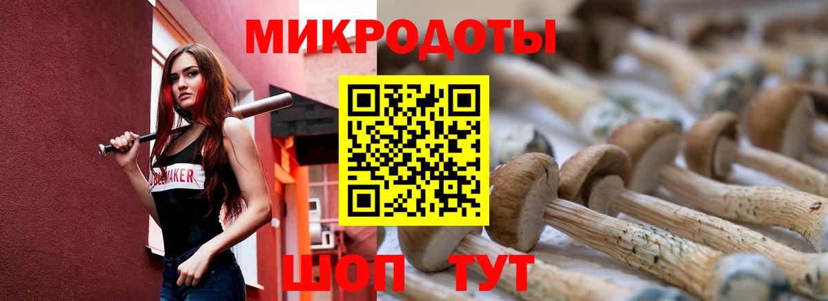 Псилоцибиновые грибы GOLDEN TEACHER  Вход с VPN  где найти наркотики  Донецк  Псилоцибиновые грибы Cubensis 